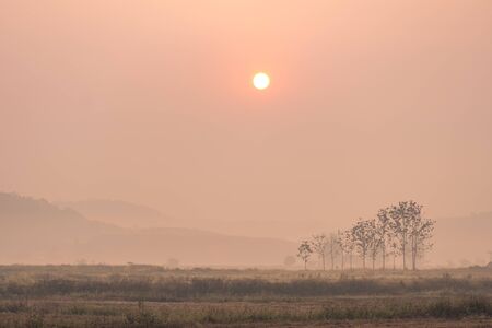 he sun is rising in the morning in the north of Thailand.の写真素材