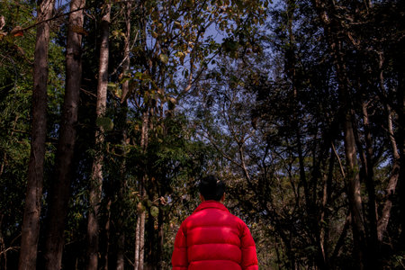 A man wearing red shirt standing before the dark forest backgroundの写真素材