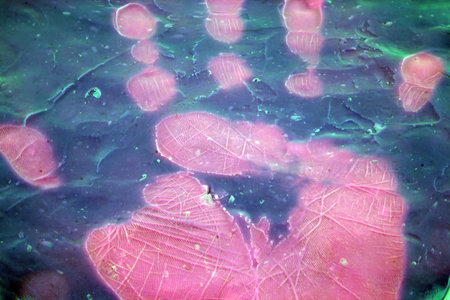 Handprint enprinted on a carbon blockの写真素材