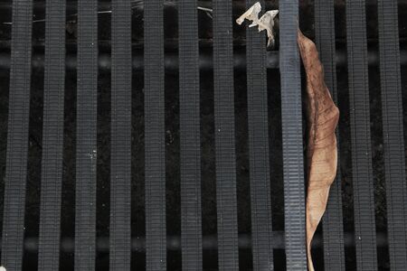 Dead leafの写真素材