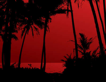 Palm trees on the beach with red sky and sea. Vectorの写真素材