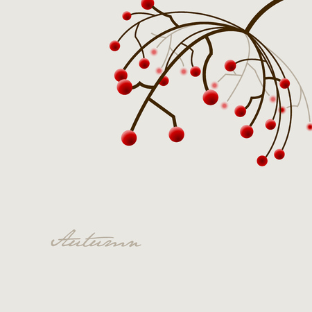 Autumn illustration with plant and red fruit and place for your text.のイラスト素材