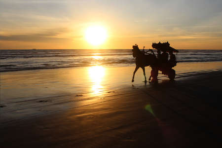 Riding horse along the seashore while sunsetの写真素材