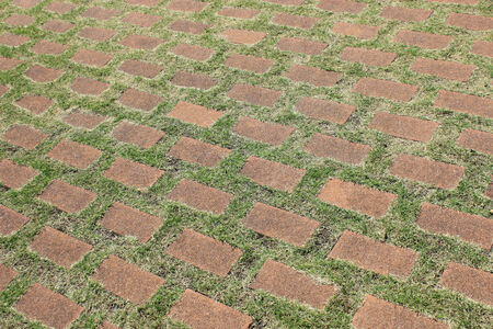 Brick and a lawn の写真素材