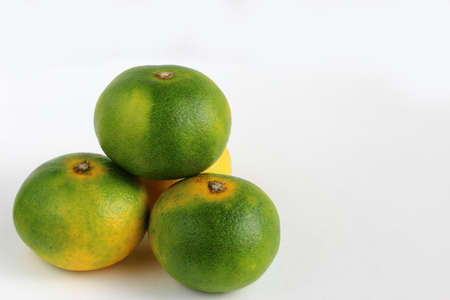 tangerineの写真素材