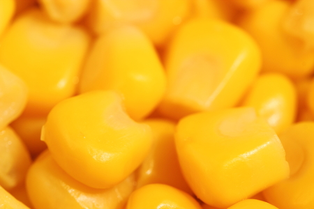 Cornの写真素材