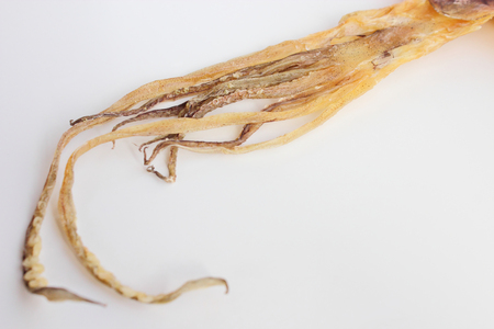 Close-up of dry squidの写真素材