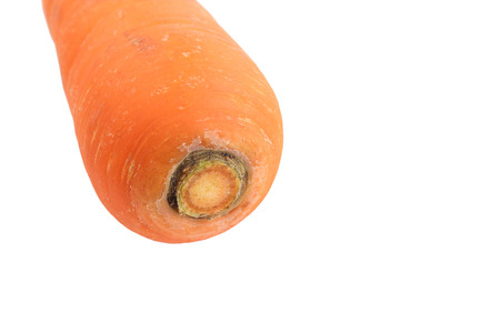 Carrots without leavesの写真素材
