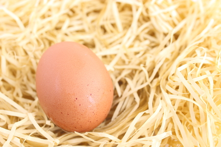 Eggs and cushioning materialsの写真素材