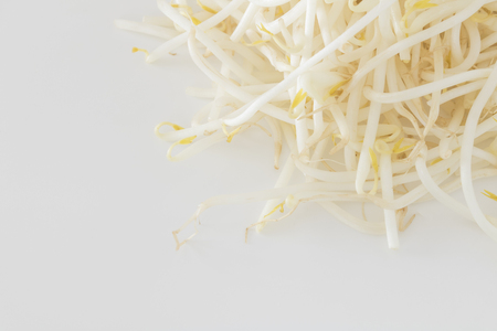 Lots of bean sproutsの写真素材