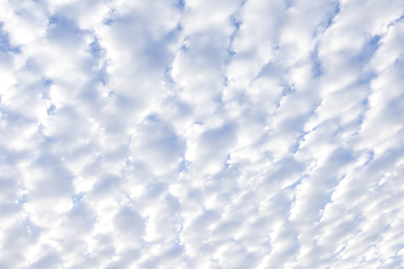lots of Cirrocumulus cloud