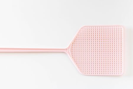 Close up of fly batの写真素材