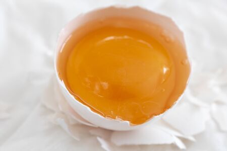 Raw egg yolk in egg shell