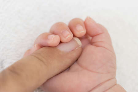 Hands of a one month old baby holding the fingers of his 30s fatherの写真素材