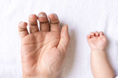 Hands of man in thirties and hands of baby two months oldの写真素材