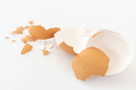 Photo of brown egg shell