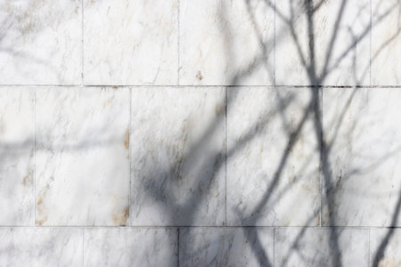 Shadows of cherry tree branches and walls