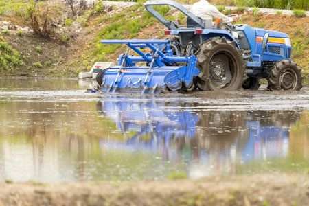 A rice field filled with water. Working with a tractorの写真素材