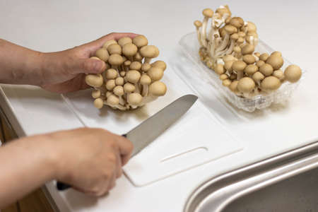 Image of a woman cutting Shimeji mushrooms in the kitchen (Japanese, 30s)の写真素材