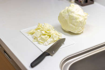 Image of cutting cabbage in the kitchenの写真素材
