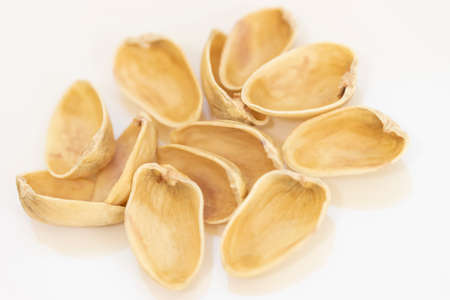 Lots of pistachio shells (white background)の写真素材