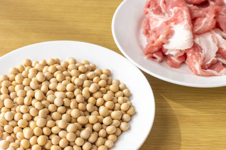 Soybeans and pork. Image of soy meatの写真素材