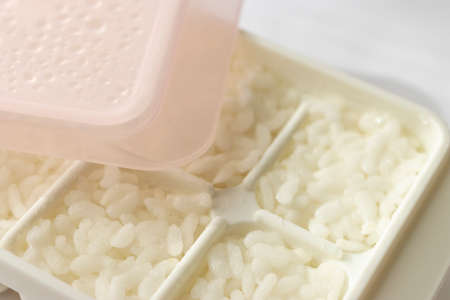 Frozen rice in small portions for babiesの写真素材