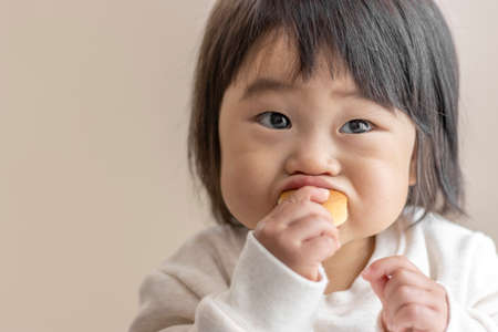 Baby eating small bread by herself (1 year and 5 months old, girl, Japanese)の写真素材