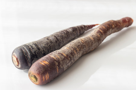 This is a picture of a black carrotの写真素材