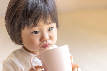 Baby drinking tea with a cup (1 year 9 months old, girl, Japanese)の写真素材
