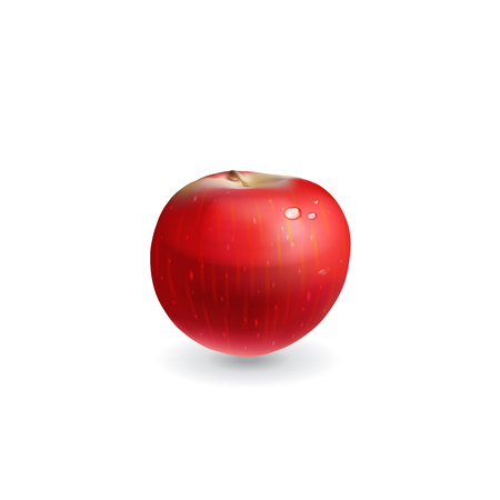 Red apple. Vector illustration on white background.のイラスト素材
