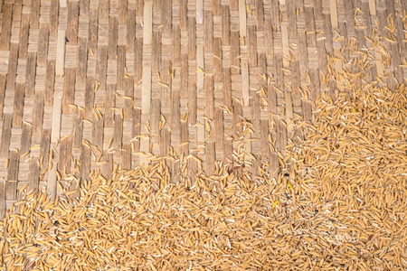 Background of paddy drying of the farmer in Thailand.の写真素材