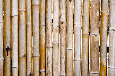 Background and pattern of the old bamboo fence line.の写真素材