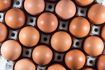 Fresh eggs from the farm in the panel white paper. Background eggs arranged in panels paper. Eggs and paper panel on white background.の写真素材