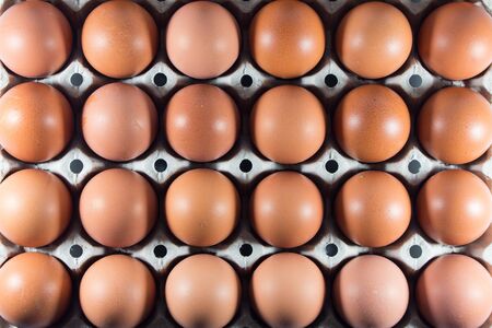 Fresh eggs from the farm in the panel white paper. Background eggs arranged in panels paper. Eggs...