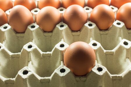 Eggs and paper panel on white background. Fresh eggs from the farm in the panel white paper....