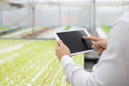 Businessman examine and record the quality reports of organic vegetables on the farm by tablet. Strictly checking vegetables on the farm. Farmers use tablet to check the quality of the vegetable.の写真素材