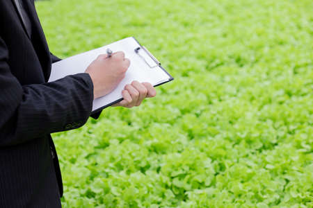 Businessmen examine and record the quality reports of organic vegetables on the farm. Strictly checking vegetables on the farm.の写真素材