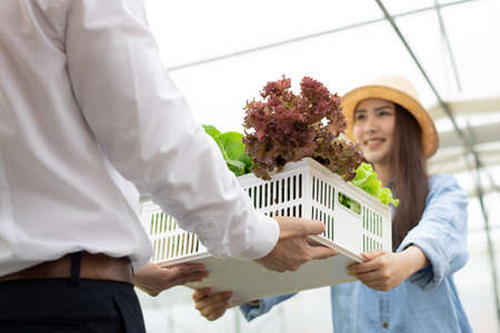 Manufacturers send baskets that contain only clean and quality organic vegetables from hydroponics farm for consumers with smile. Consumers receive fresh vegetable baskets from the farm hydroponic.の写真素材
