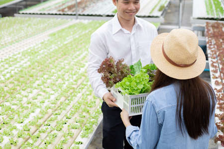 Manufacturers send baskets that contain only clean and quality organic vegetables from hydroponics farm for consumers with smile. Consumers receive fresh vegetable baskets from the farm hydroponic.の写真素材