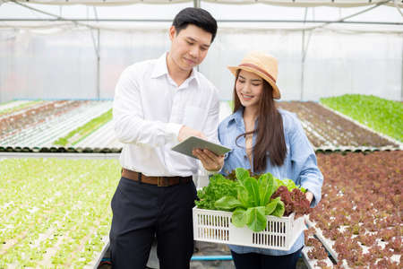 Farmer Asian woman hold baskets that contain only clean and quality organic vegetables from hydroponics farm and quality inspector for consumers. Thai farm woman owner and vegetable quality inspector.の写真素材