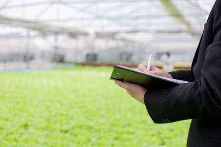 Businessmen examine and record the quality reports of organic vegetables on the farm. Strictly...