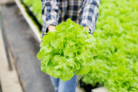Woman holding organic vegetable that planted herself in concept organic vegetables for health food.の写真素材