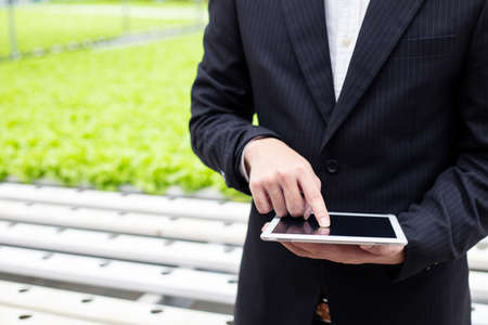 Quality inspectors of organic vegetable farms have good standards for exporting to the market.の写真素材