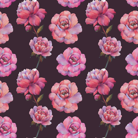 Seamless watercolor flowers pattern. Watercolor peony flowers. Flowers for design. Ornament flowers. Seamless floral pattern. Purple peony floral botanical flower.の写真素材