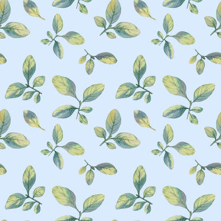 Seamless watercolor botanical pattern on a blue background. Watercolor handdrawn background with leaves and branches. Spring or summer design for wallpaper, print, textile or greeting cards.の写真素材