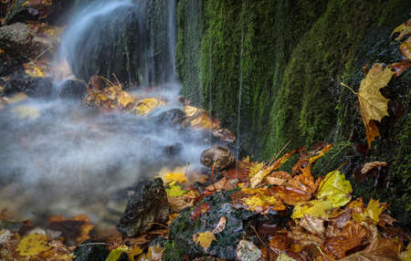 yellow leaves on the background of a waterfall. Stones, autumn leaves and water. Peace and...