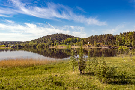 beautiful panorama of a rural landscape with a lake illuminated by the sun. summer panoramic view with bright green grass. landscape, lake in front of the forest.の写真素材
