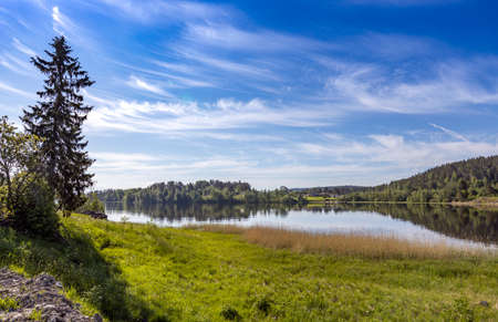 beautiful panorama of a rural landscape with a lake illuminated by the sun. summer panoramic view with bright green grass and large spruce. landscape, lake in front of the forest.の写真素材