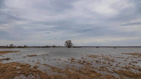 Landscape with a flooded field. On a cloudy day with a gray spring sky. The river is overflowing....